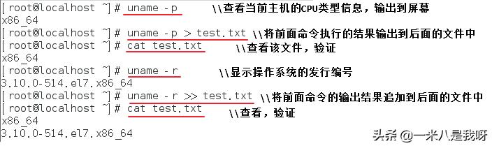 Linux——Shell脚本的应用1（基础）