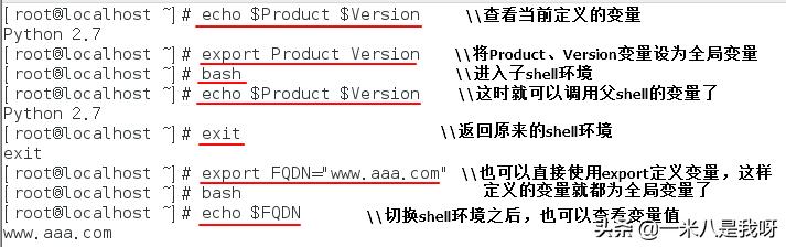 Linux——Shell脚本中自定义变量的应用（基础）2