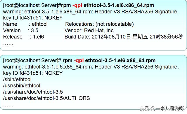 Linux基础命令（九）——RPM