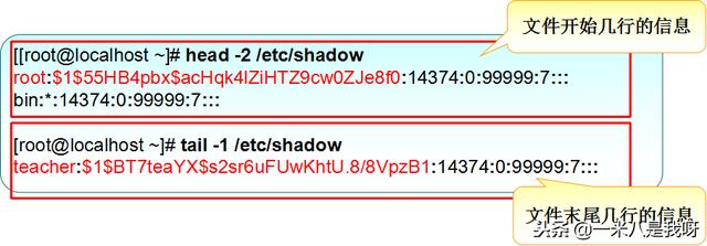 Linux基础命令（十一）——用户和组账号管理