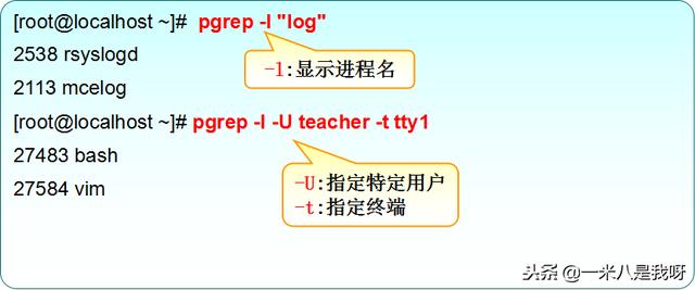 Linux如何查看和控制进程