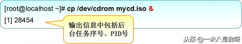 Linux如何查看和控制进程