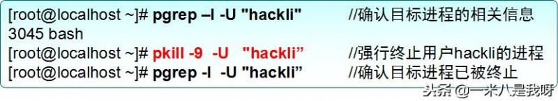 Linux如何查看和控制进程